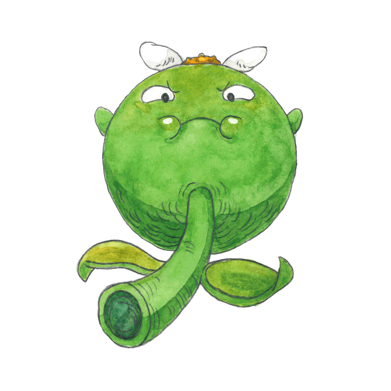 Original Seedling drawing