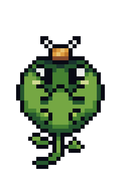 Seedling
