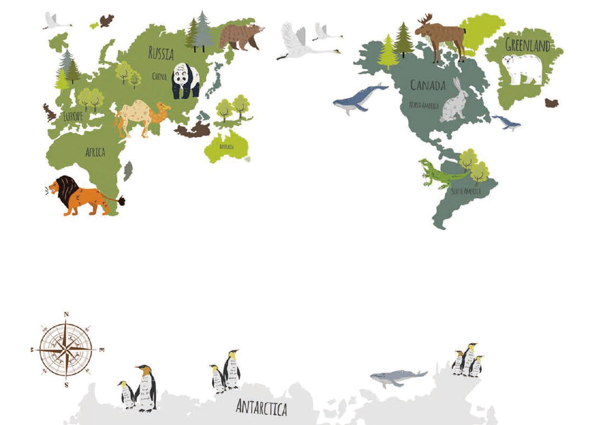 Full Cocoro Lab world map artwork prepared for production